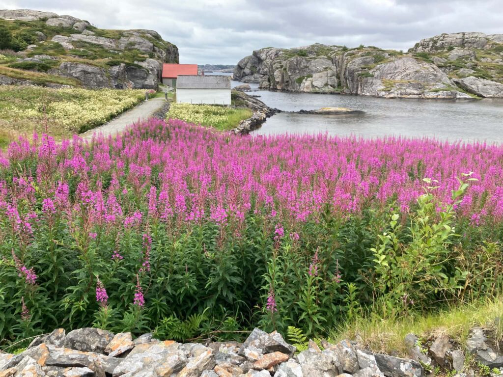 Flowers in front of old seahouse outside Bergen